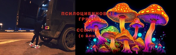 mdpv Красноперекопск